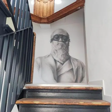 Kamienica Centrum 16