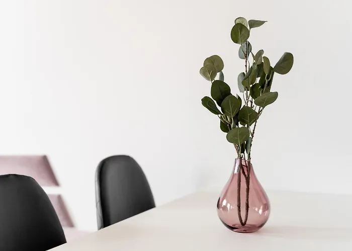 Kamienica Centrum 16 Appartement